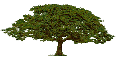 McHugh Tree Service