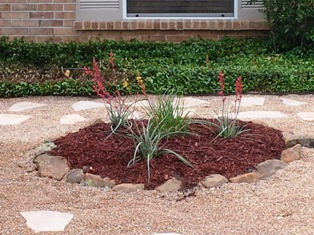Details Plants